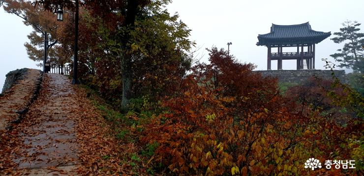 공산정 가는 성곽길의 낙엽