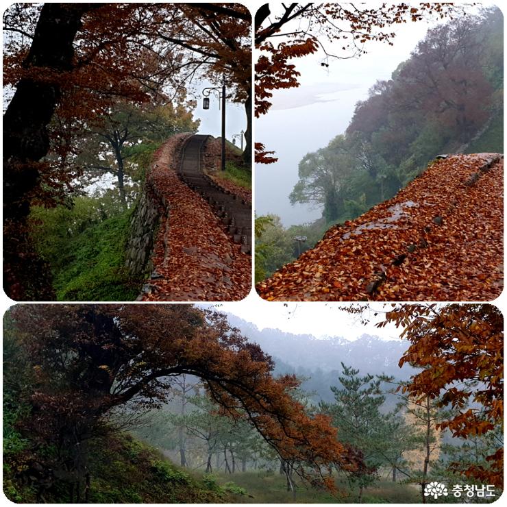 공북루에서 영은사 가는 언덕길의 낙엽