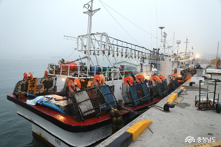 이른아침 안개낀 항구에 오징어잡이배가 모여든다.