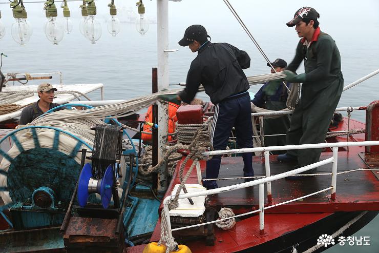 정박한 오징어잡이 배에서 선원들이 오징어 하역을 준비중이다.