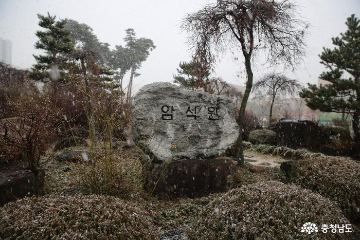 눈이 펑펑내리는 날 아산 지산공원 사진
