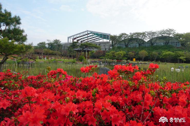 알록달록 봄꽃으로 물든 논산시민공원