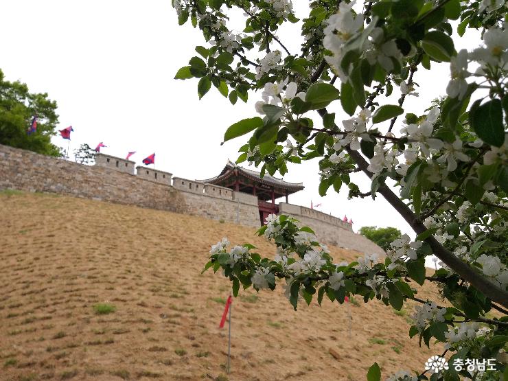 평화로운 봄날, 홍주관아문의 여하정 사진