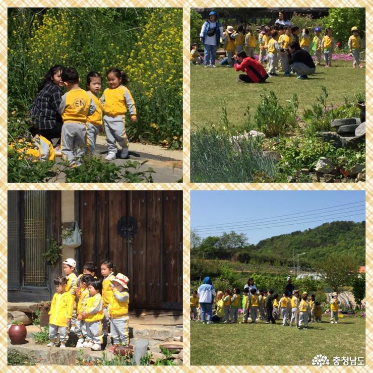노란 어린이떼들 자연친화적 체험 놀이 사진