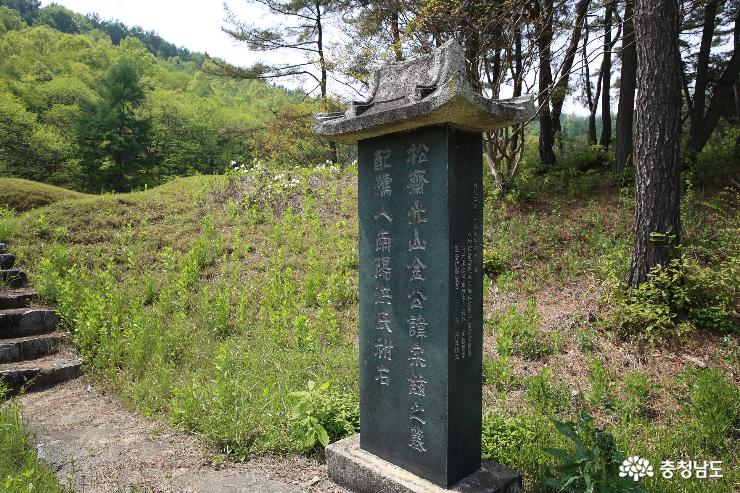 논산의 숨겨진 학자 김항 선생 묘소