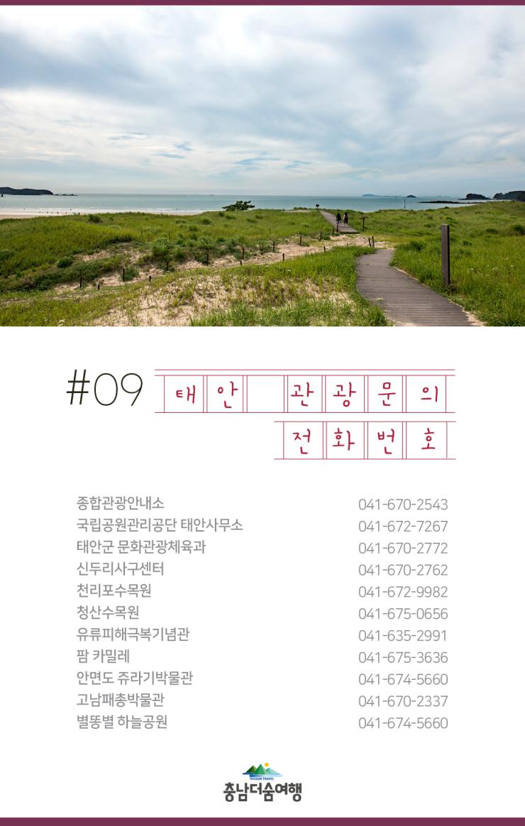 충남더숨여행-태안 관광문의 전화번호