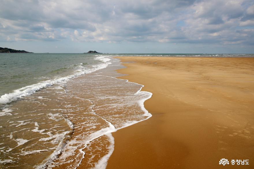 태안군, 거대한 모래섬 ‘장안사퇴’의 비경 적극 홍보!