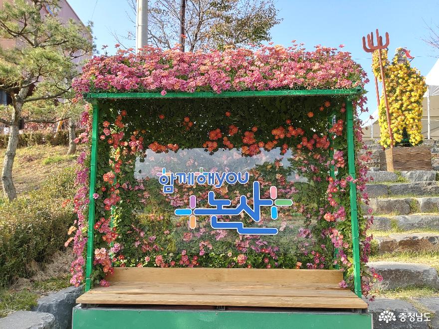 2020년을 기대하게 만들었던 논산시민공원의 국화꽃 산책길 사진