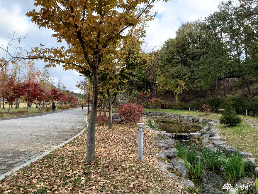 2020년을 기대하게 만들었던 논산시민공원의 국화꽃 산책길 사진