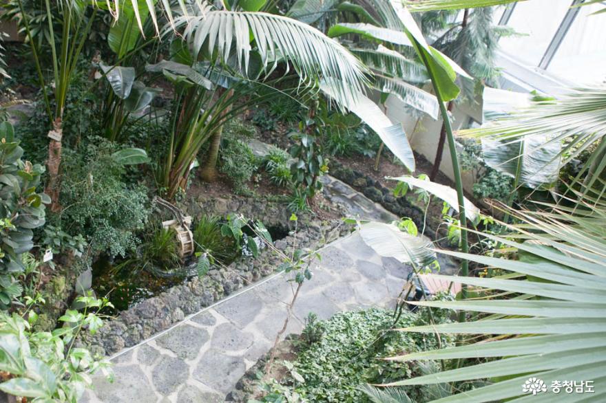 쉼이 있는 미니식물원과 북카페로 지역 특색을 살리다 사진