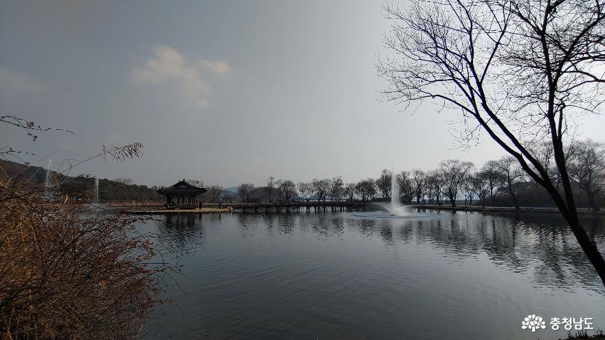 따뜻한 겨울나들이는 부여 궁남지로 사진