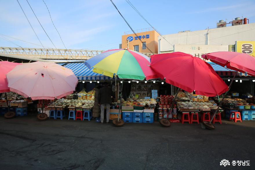 겨울철 매력이 더해지는 보령 수산시장의 물메기 사진