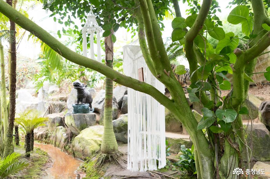 아산 세계꽃식물원, 가족들·연인들과 방문하기 좋은 곳 사진