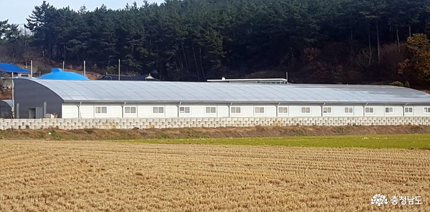 태안 서유채 농장 전경
