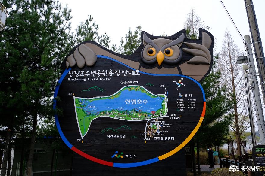 봄을 느낄 수 있는 아산 신정호 수변공원 산책