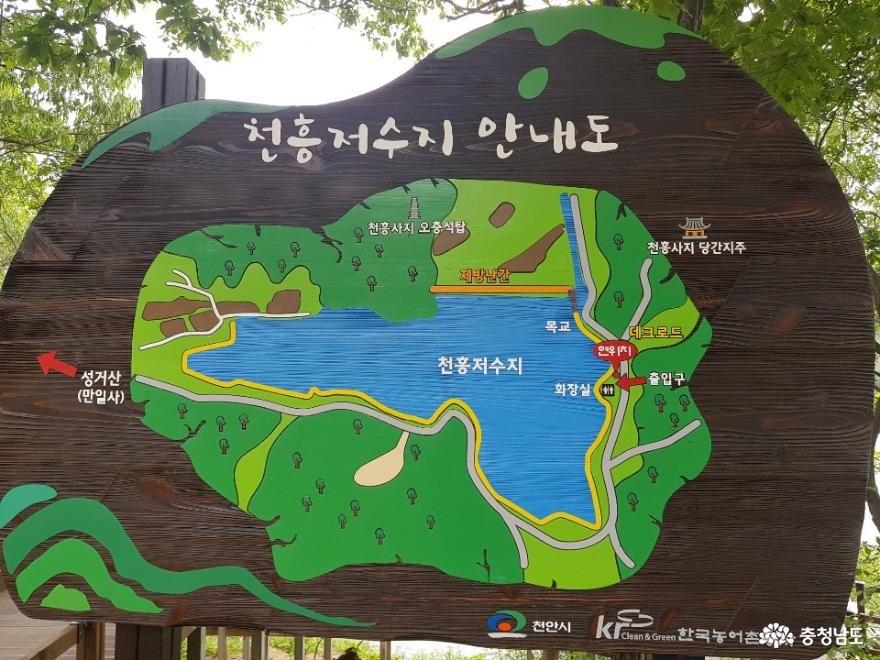 환상적인둘레산책길천흥저수지 2