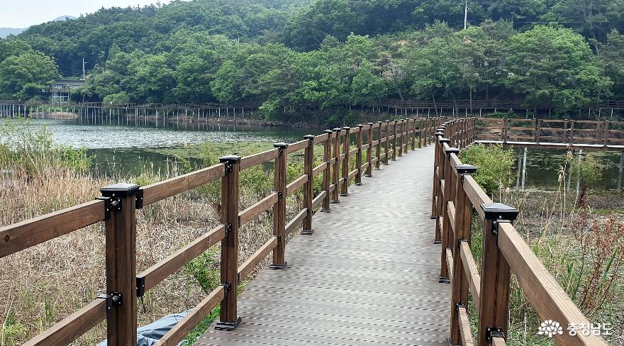 천흥저수지 수변데크 산책로 3. 