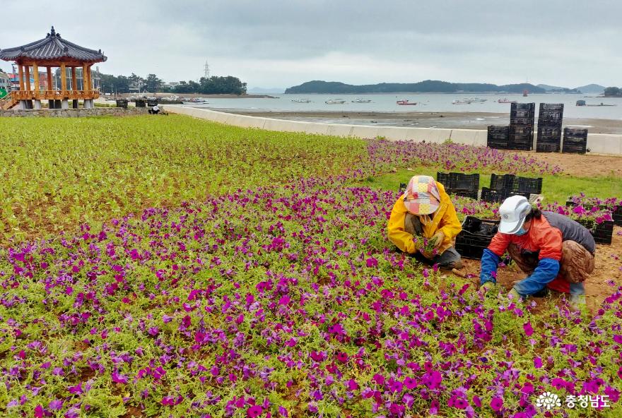 태안군 고남면 ‘영목항 수변공원’, 아름다운 해상관문 역할 ‘톡톡!’