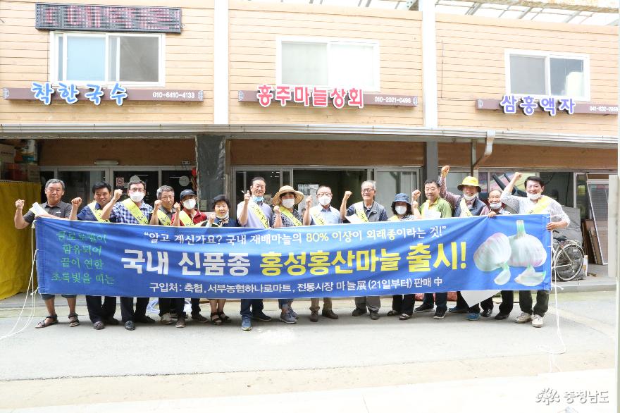 마늘독립만세! 홍성군, 홍산마늘 출시 홍보행사 개최