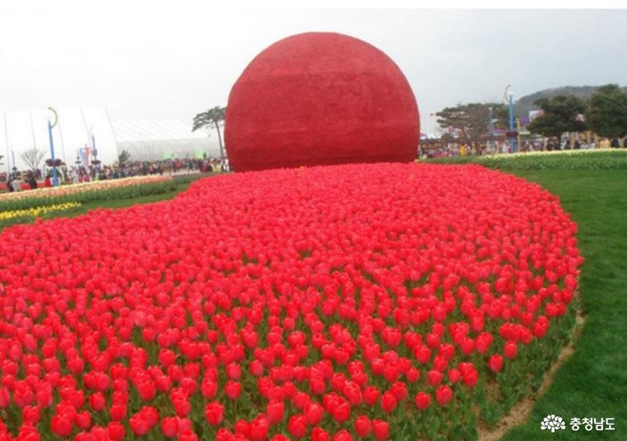 튤립꽃이 형형색색 전시된 2002년 안면도 국제 꽃 박람회