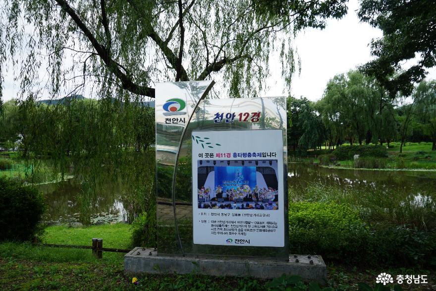 뛰어난 경치를 자랑하는 여름날의 천안삼거리공원