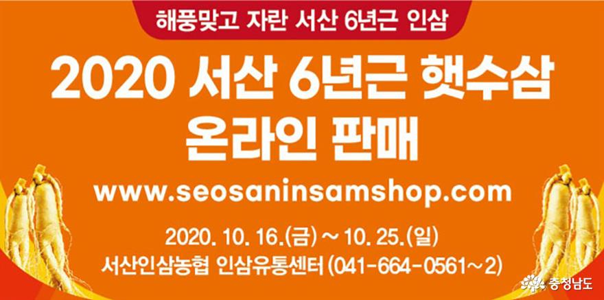 서산 6년근 가을 햇수삼 온·오프라인 할인 판매!!