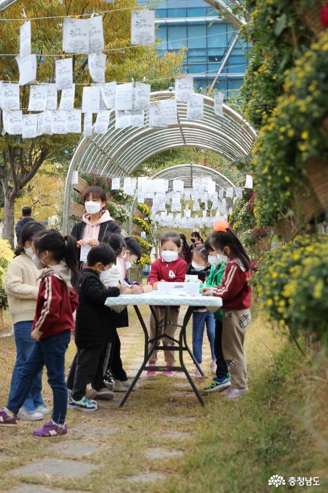 당진의 대표 꽃 축제 ‘국화전시회’ 사진