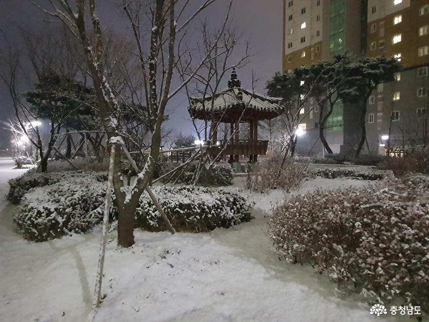 신축년 새해 눈의 왕국이 된 홍성 내포의 풍경 사진