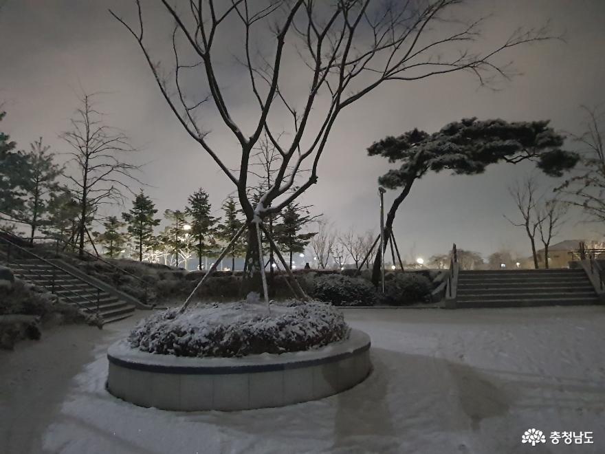 신축년 새해 눈의 왕국이 된 홍성 내포의 풍경 사진