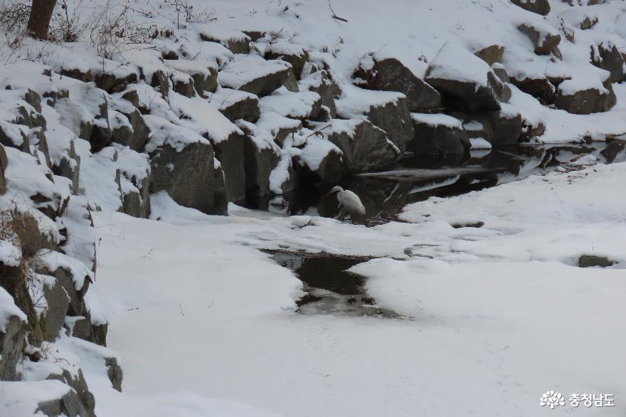 금오산 만석골에 흐르는 예산천 겨울 풍경
