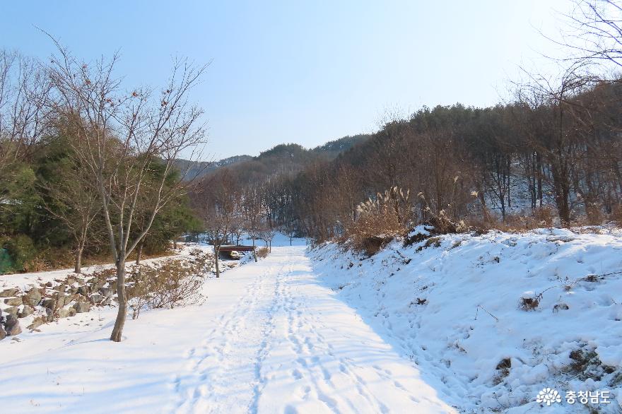 예산 금오산 일대 만석골 겨울 풍경 사진