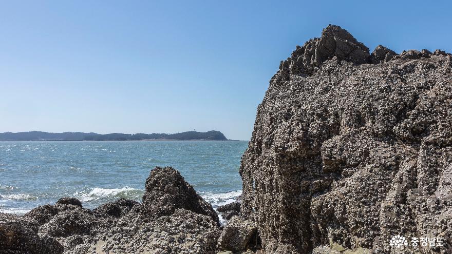 사진으로 보는 서산 ‘황금산 해안’ 절경 사진