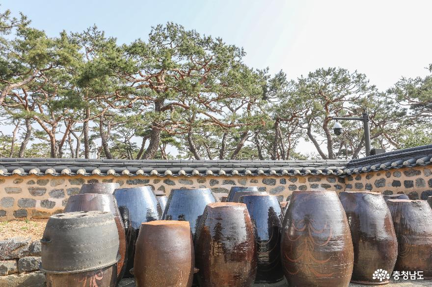 김대건 신부 생가지, 당진 ‘솔뫼 성지’를 가다. 사진