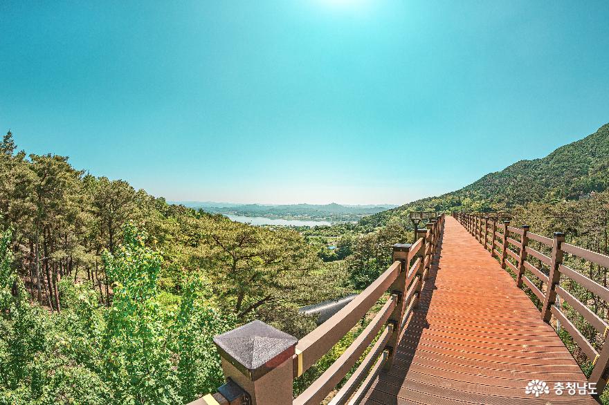 자연속 힐링 여행하기 좋은곳 예산 봉수산 수목원과 황새공원 사진