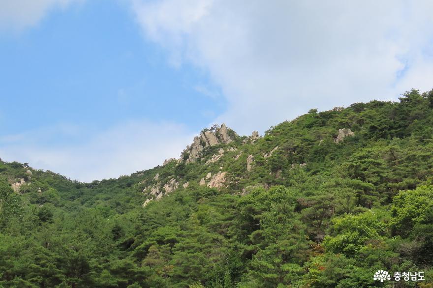 7월 숲길여행, 홍성 용봉산 자연휴양림 산책로 사진