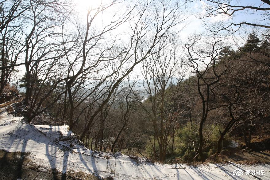 서산의 9경중 5경이라는 아름다운 서산의 팔봉산 산행 사진