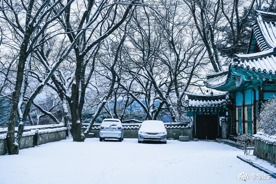 예산수덕사눈내린사찰의아름다운풍경 6