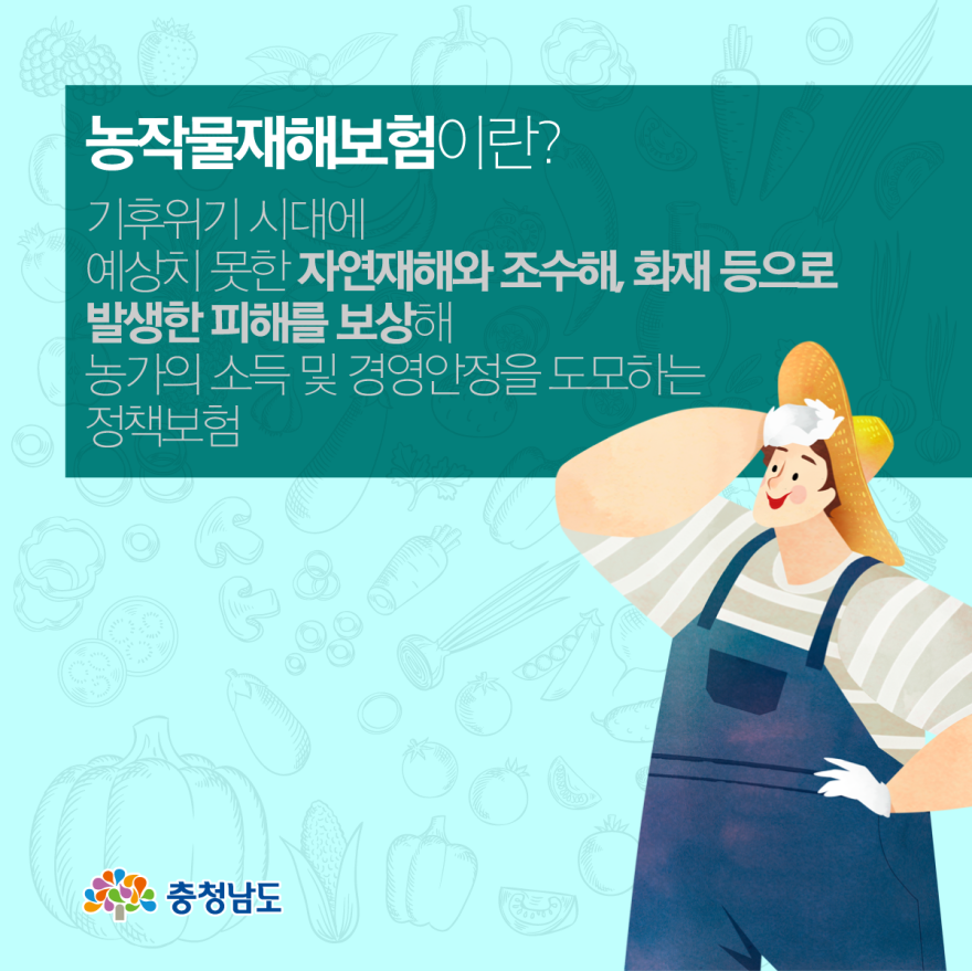 농작물재해보험으로 자연재해 대비하세요! 사진