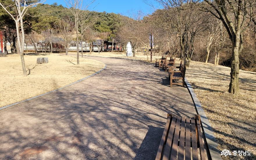 서천 문헌서원 산책로 모과나무 아래 의자.