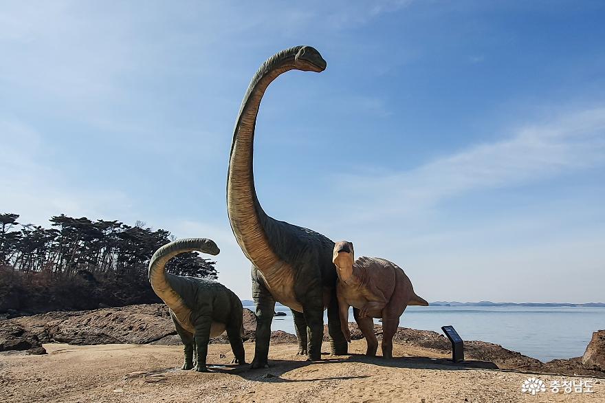 보령학성리공룡발자국화석 5