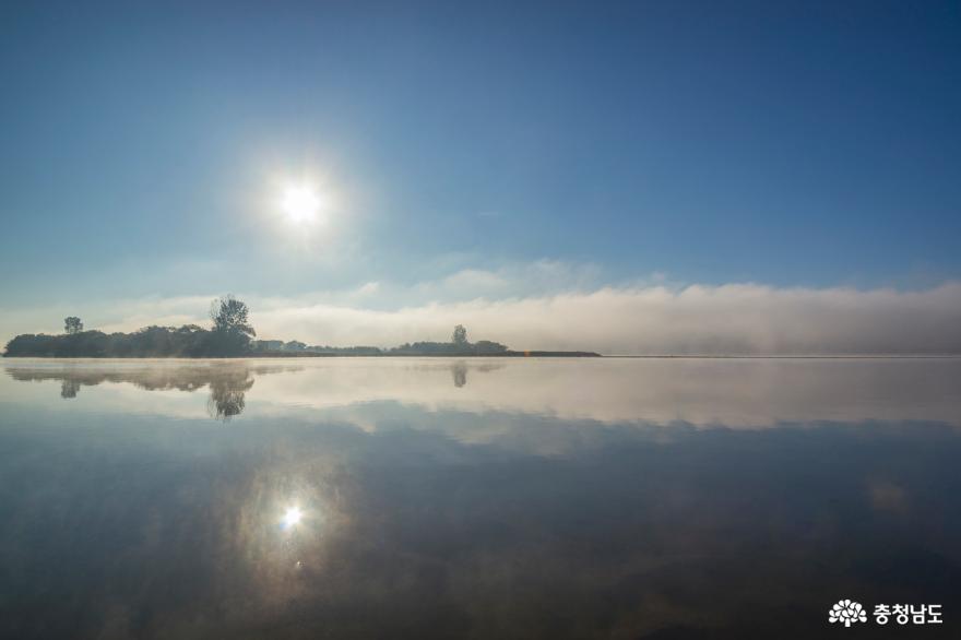 아침의 미학으로 피어오르는 금강의 천변풍경 사진