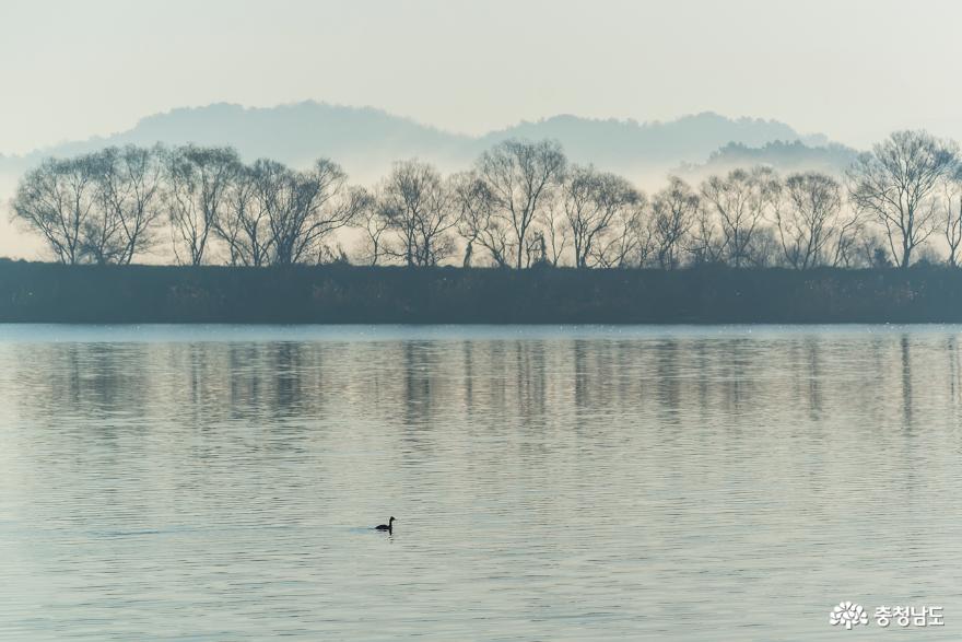 아침의 미학으로 피어오르는 금강의 천변풍경 사진