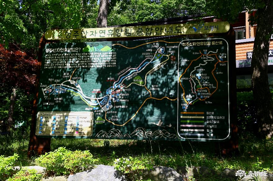 성주산무궁화수목원성주산자연휴양림개화예술공원충남보령여행 15