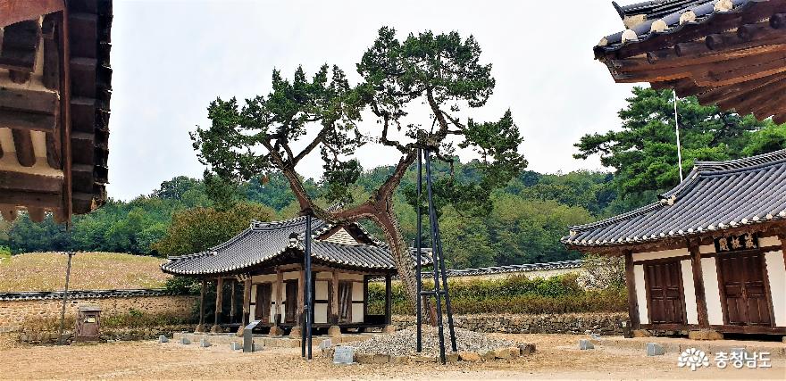 조선시대양반문화와예학의발자취돈암서원 9