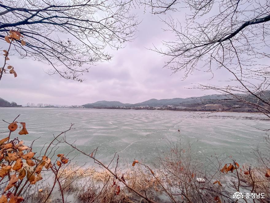 얼음호수로 변한 아산 신정호 산책 사진