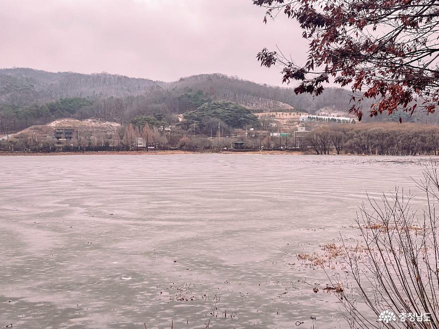 얼음호수로 변한 아산 신정호 산책 사진
