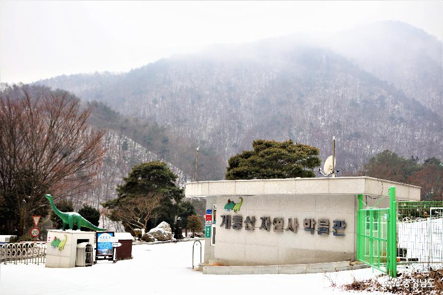 자연과학자의 꿈, 한국자연사박물관 사진