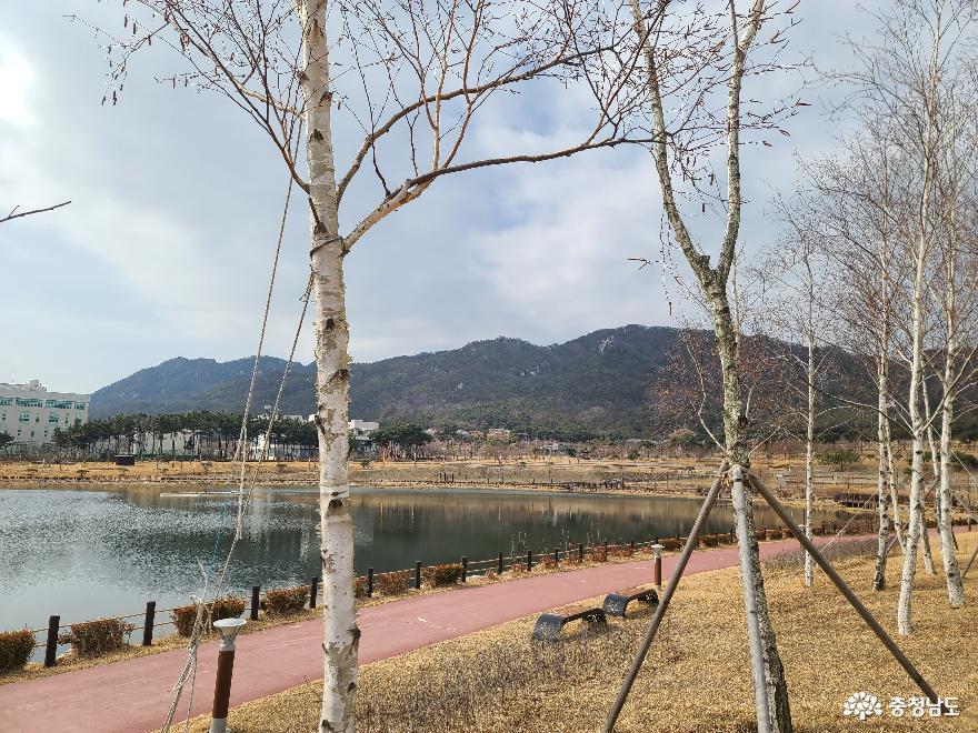지역민의건강과힐링을책임지고있는내포홍예공원 5