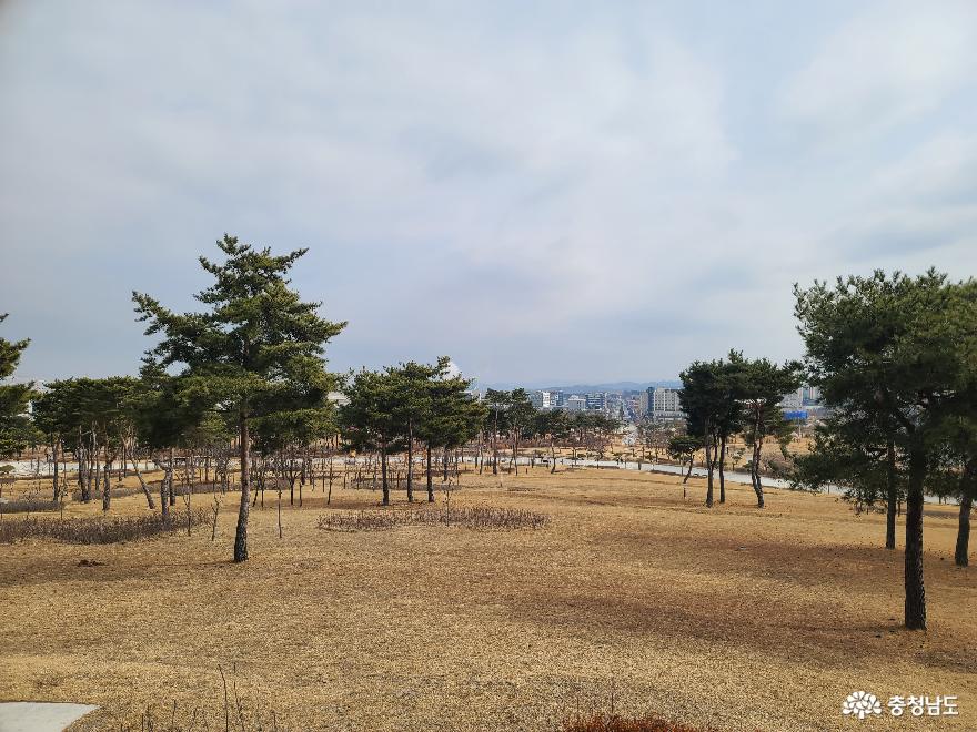 지역민의건강과힐링을책임지고있는내포홍예공원 8