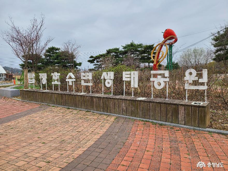 봄 기운 물씬 느껴지는 논산 탑정호 수변 생태 공원